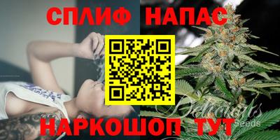 мдпв Вязьма